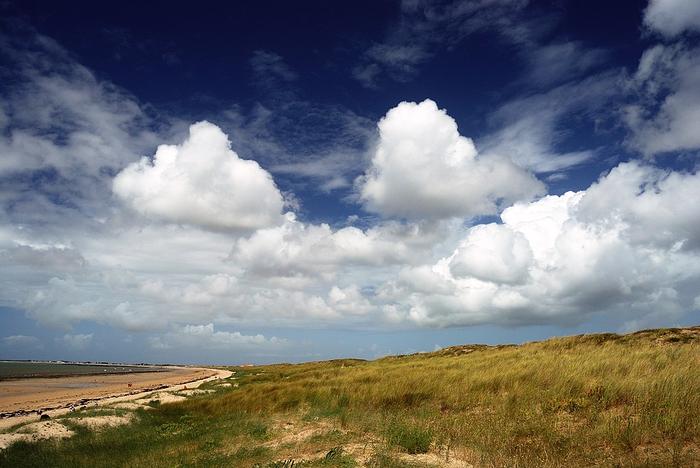 les dunes à Saint Jean de Monts