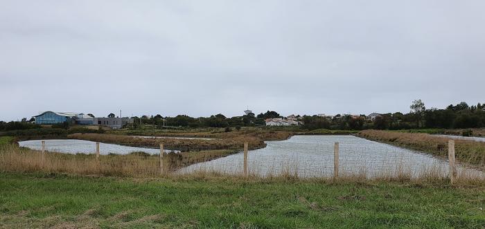 Marais salants à St Hilaire